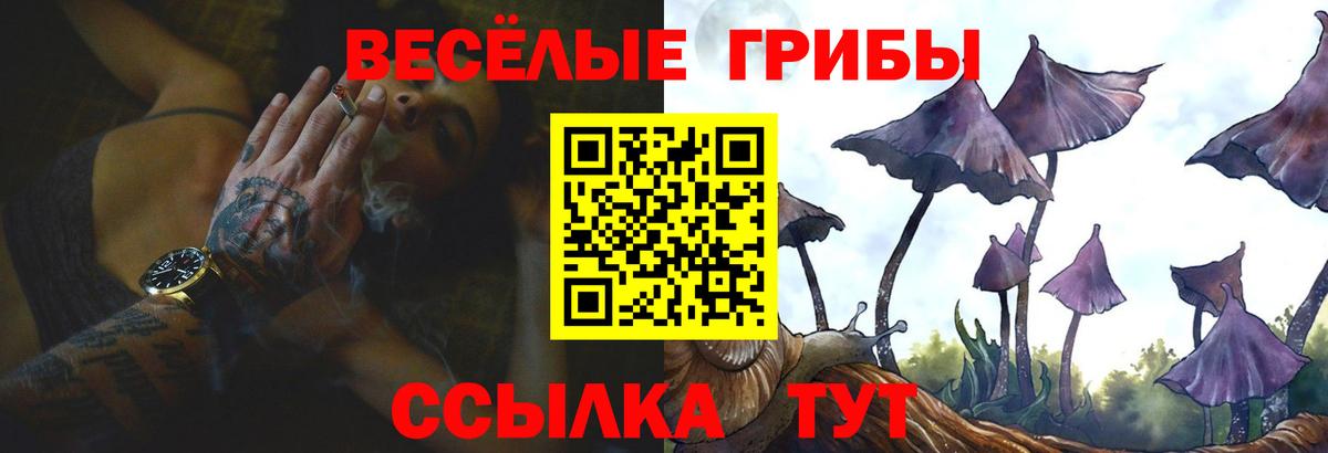 Галлюциногенные грибы мухоморы Малгобек